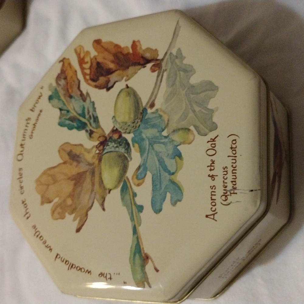 Vintage Design Richard Webb 1977 Naturalist Tin